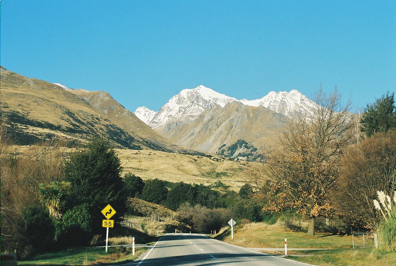 201906 글레노키_파라다이스 가는 길15_구불구불 표지판.JPG