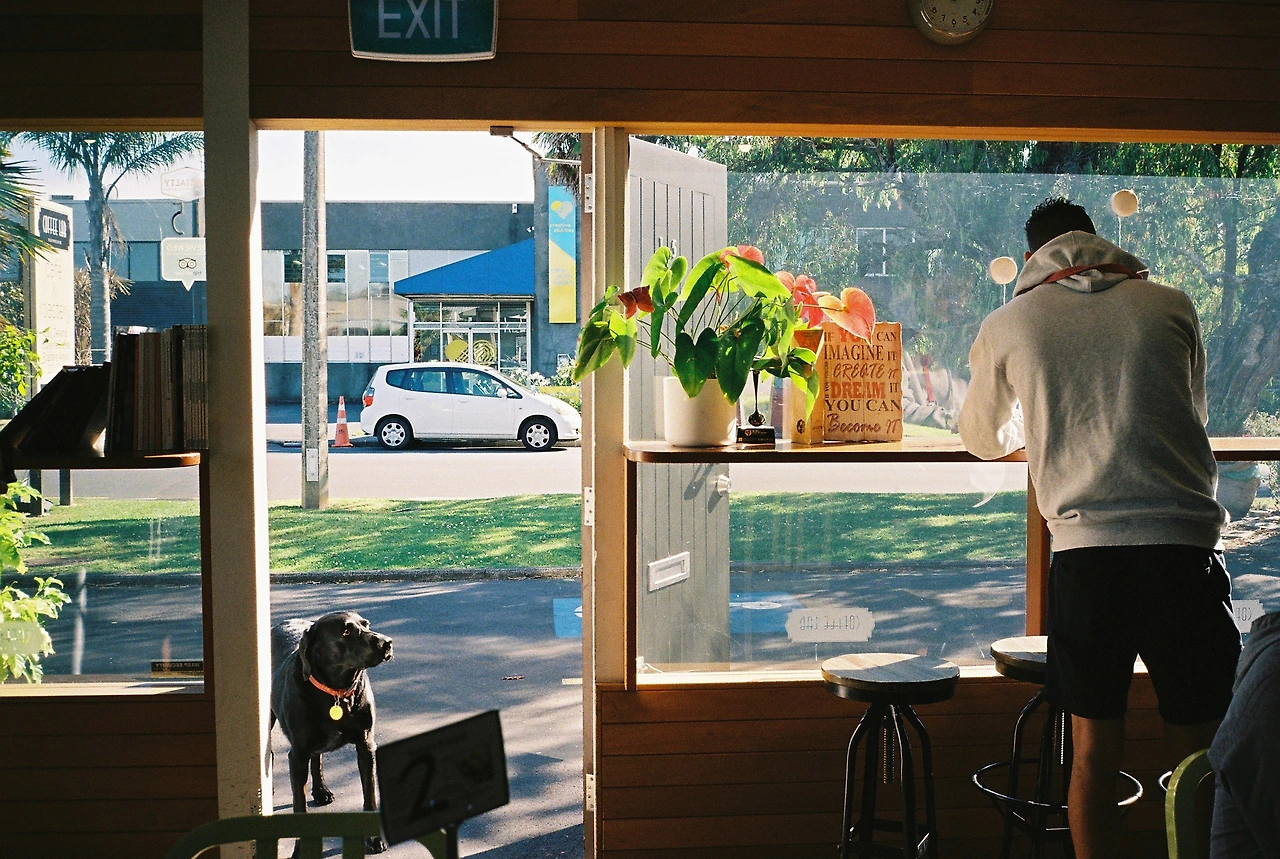 201912 오클랜드 카페에서.JPG