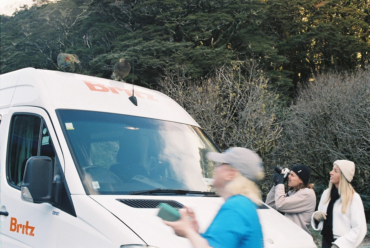 201906 밀포드사운드_가는 길_새를 찍는 사람들.JPG