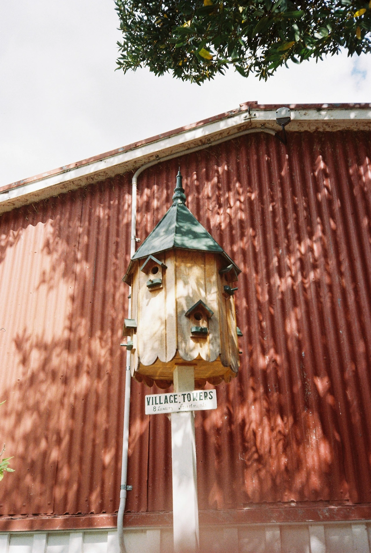 2021 타우랑가 새집.JPG