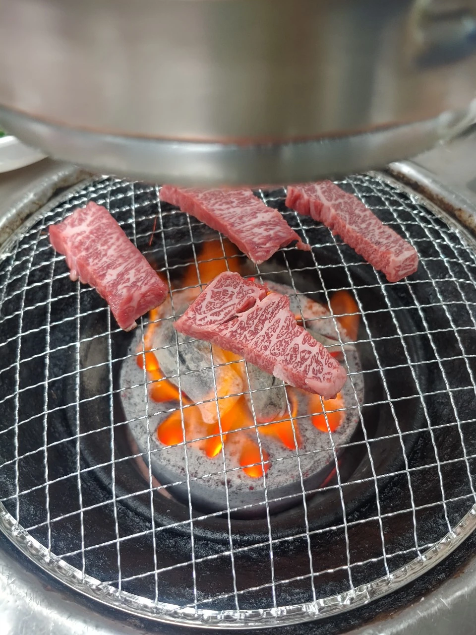 img.jpg?credential=yqXZFxpELC7KVnFOS48ylbz2pIh7yKj8&expires=1769871599&allow_ip=&allow_referer=&signature=5UeG9uLFyoSjRgfRQf5ckJsTbnQ%3D