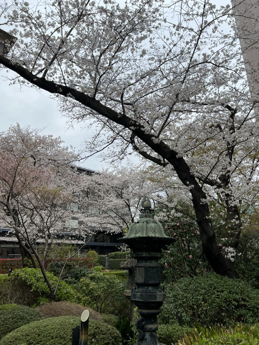 IMG_5556.jpg?type=w1