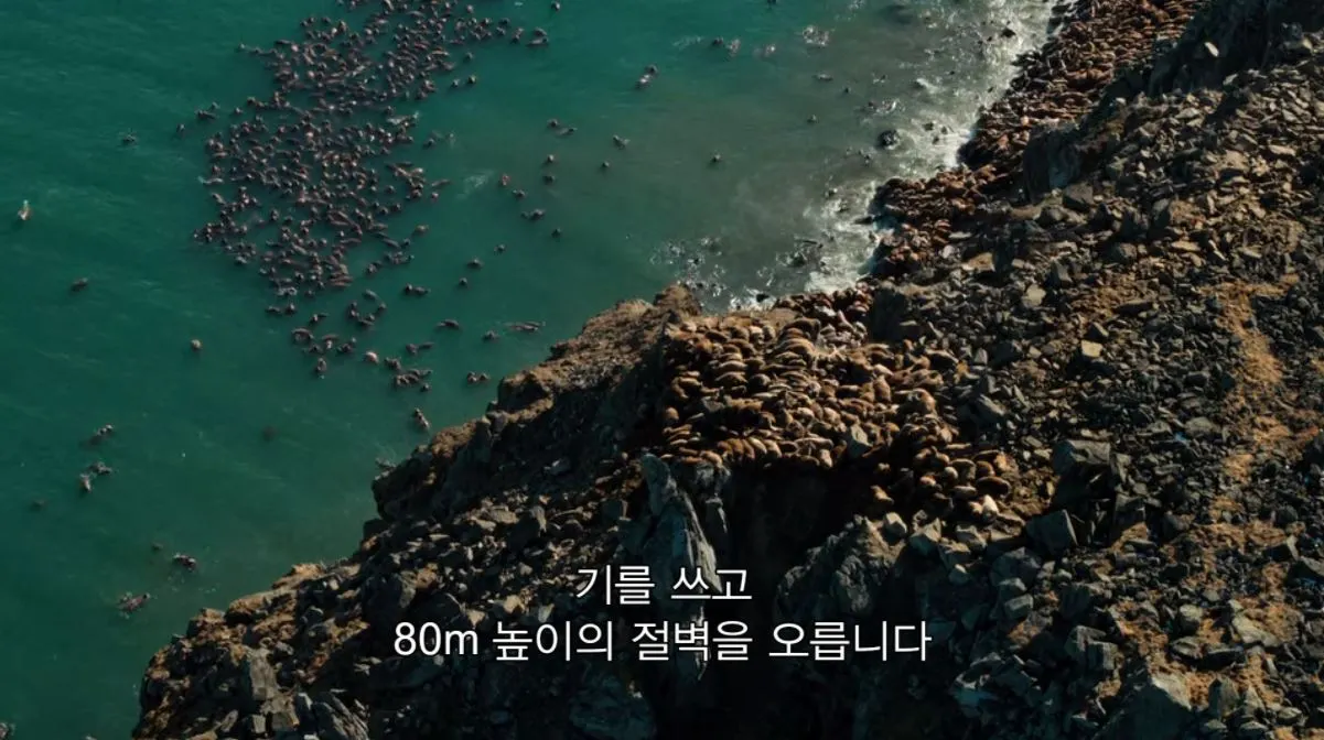 지구의 극지 4.5.JPG