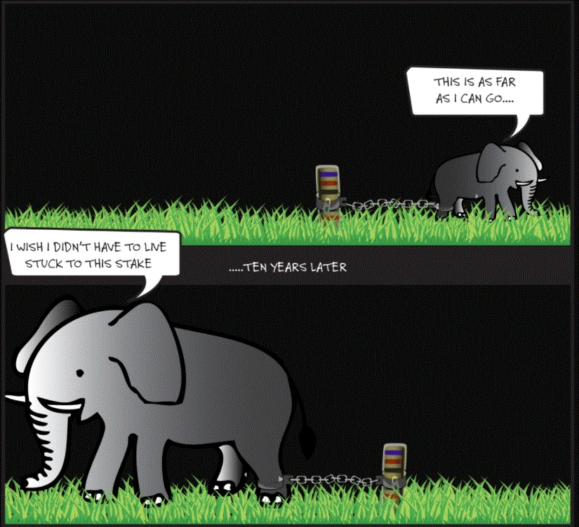 학습된 무기력.GIF