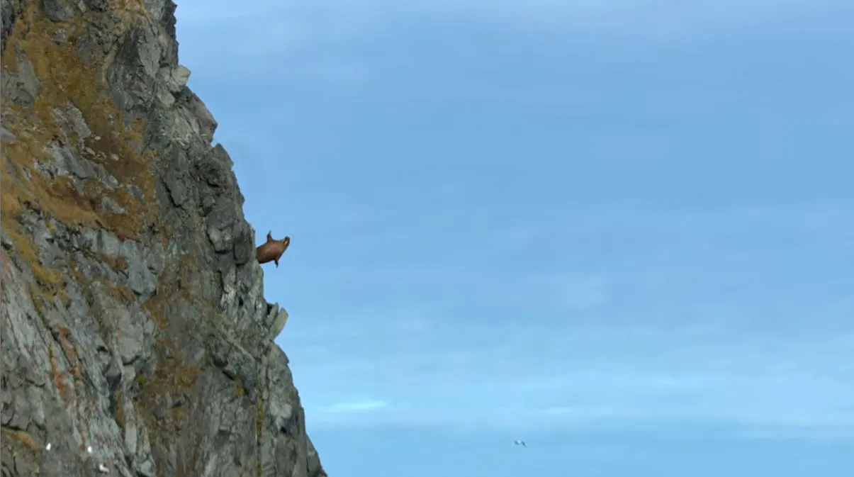 지구의 극지5.JPG