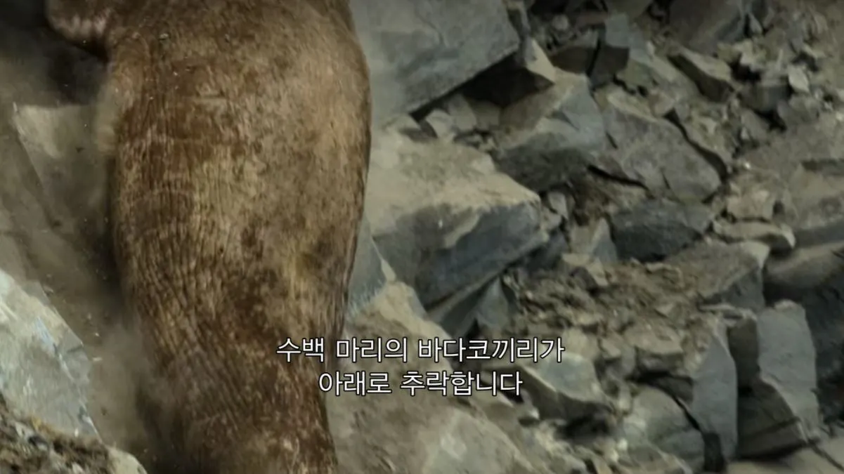 지구의 극지6.JPG