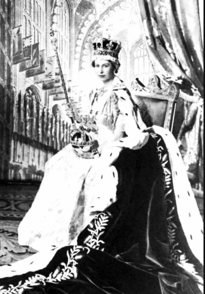 IMG_3100.jpg?type=w773