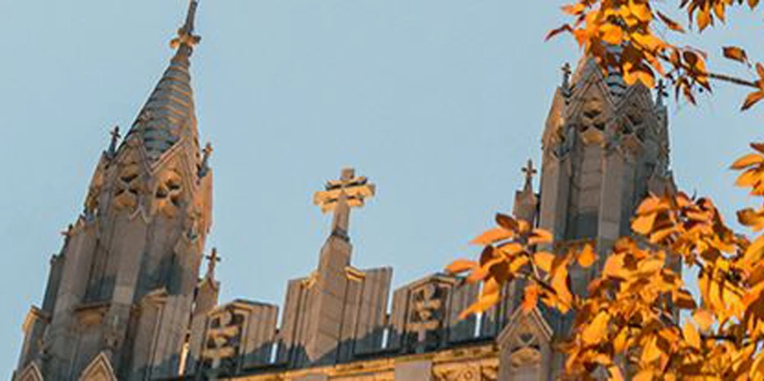 Gasson foliage 1070.jpeg