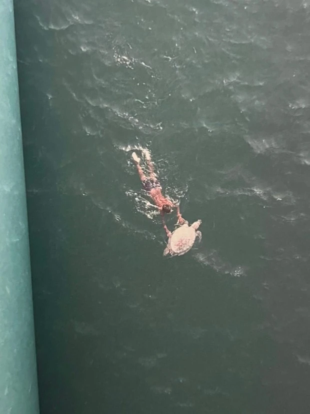 ?src=http%3A%2F%2Fblogfiles.naver.net%2FMjAyMjA4MTZfMjg4%2FMDAxNjYwNTg4NTk4MDkz.GPajlXHKKTfrhwmTrwP44yJt83ajb-sD2tSMm_NYyrsg._0Zm7R8T_ulA2U_0dxNsahIepsOyIs3_SsU0cxWj7gog.JPEG.kkzyzy%2FIMG_8400.jpg&type=sc960_832