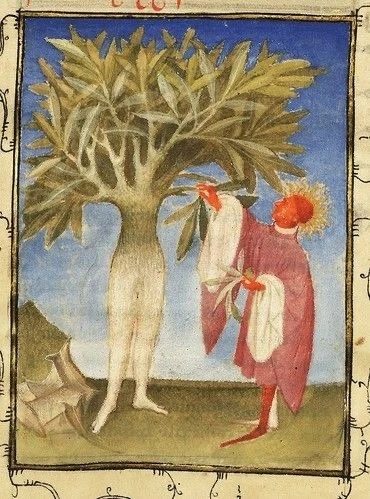 브런치업로드-다프네신화.jfif