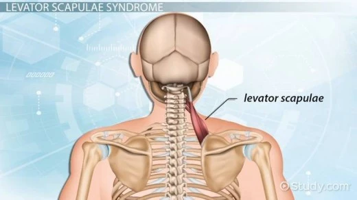 b_73gUd018svc1jw4iyx4zrhuh_fhiltn.png?type=w520