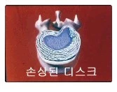 j_ifhUd018svcb50i5co6hm7s_fhiltn.png?type=e1920_std