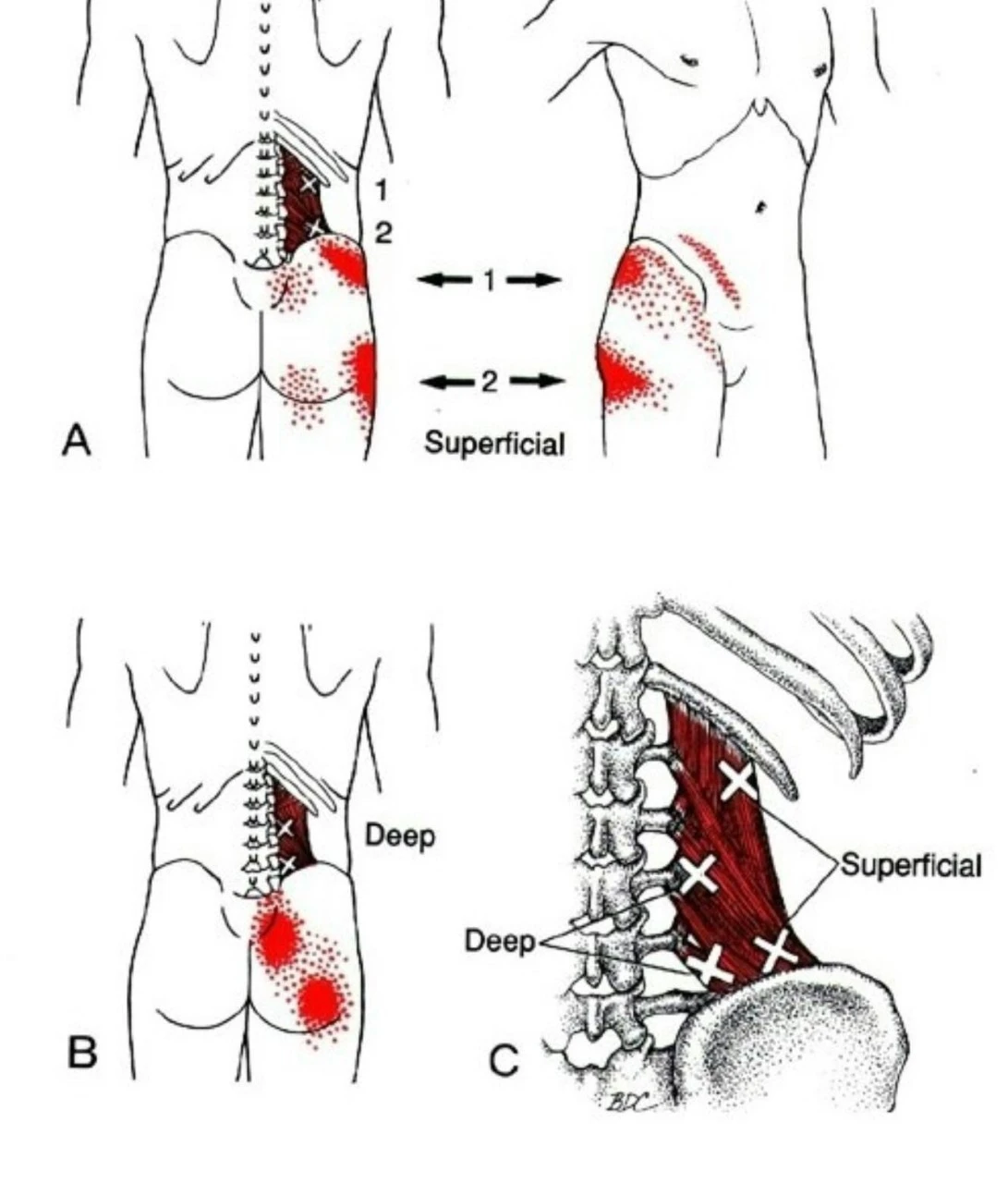 6_hh9Ud018svc1ealvj2e1dte5_fhiltn.jpg?type=e1920_std
