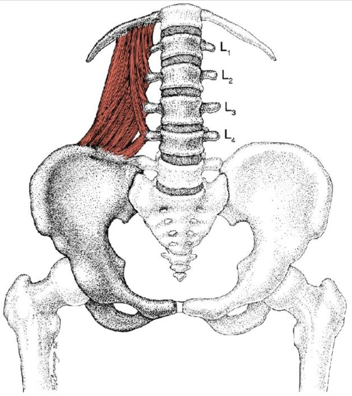 1_1h4Ud018svc1toh5mki2xdk2_fhiltn.png?type=e1920_std