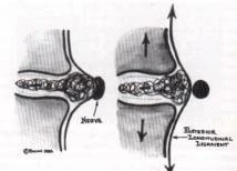 0_5g2Ud018svc1waqzhwhuav6o_fhiltn.png?type=e1920_std