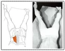 c_1haUd018svccgu0poeicy7g_fhiltn.png?type=e1920_std