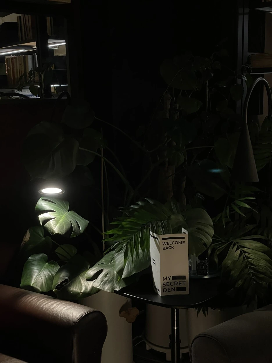 IMG_4530.jpg?type=w1