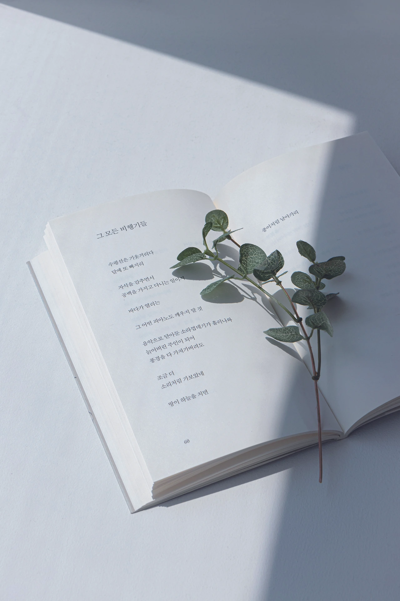 KakaoTalk_Photo_2024-06-25-16-48-23 004.jpeg