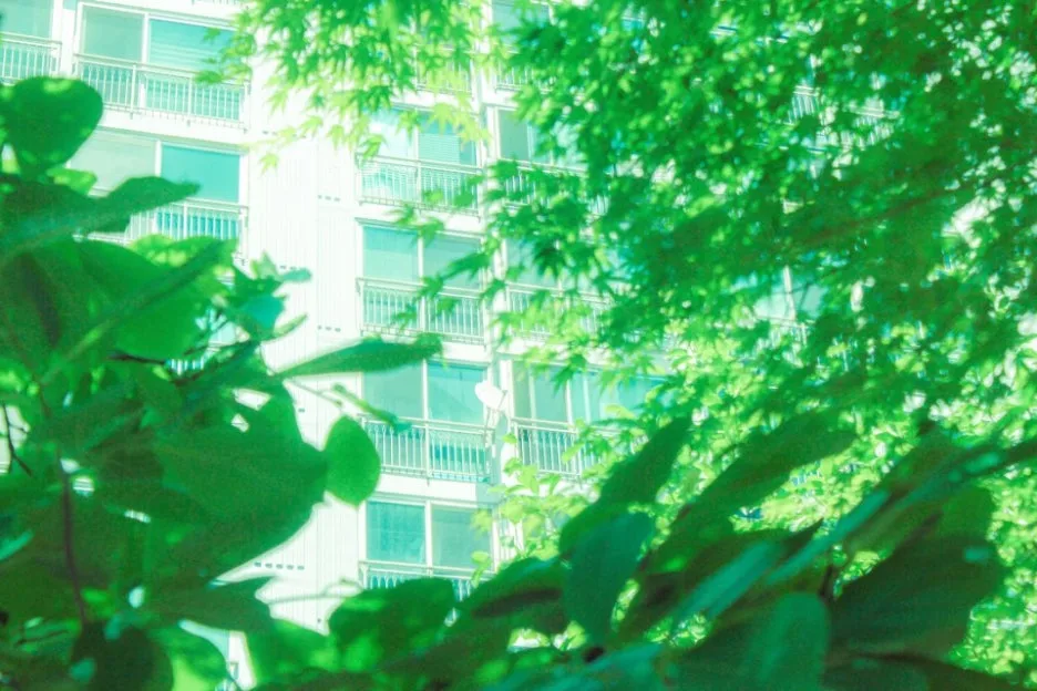 KakaoTalk_20240628_042744050_03.jpg?type=w1