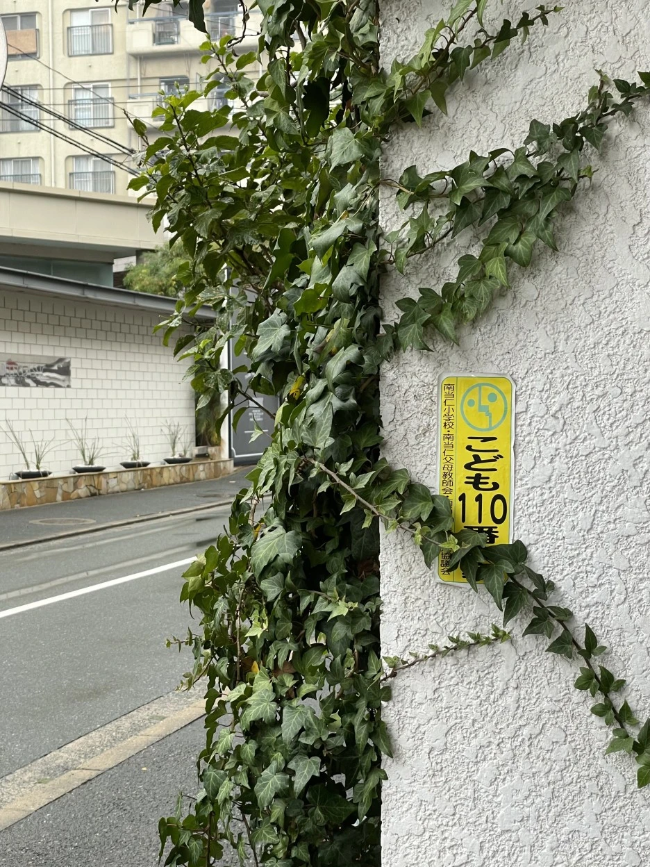 IMG_1900.jpg?type=w1