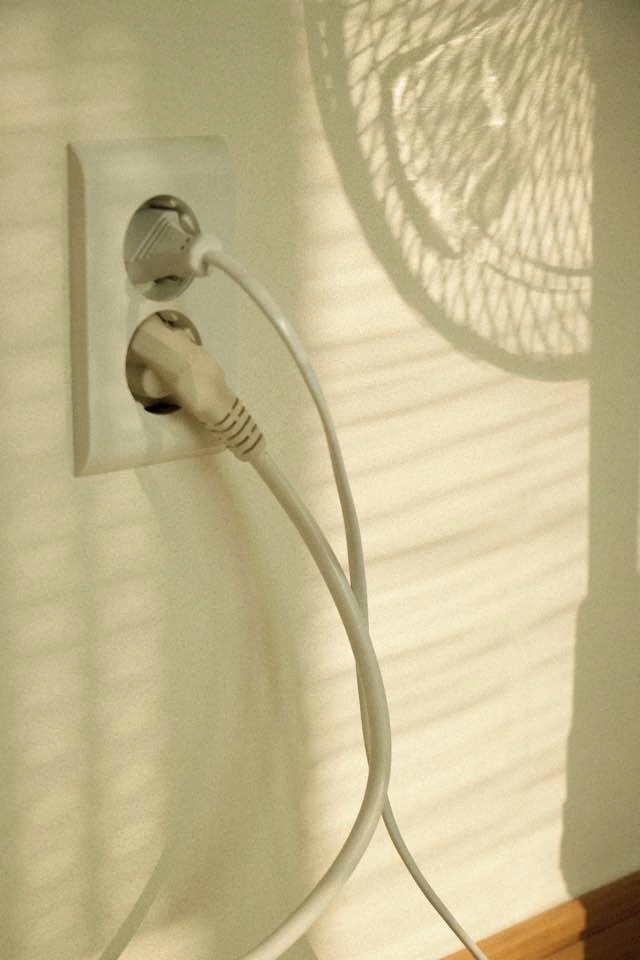 IMG_9350.JPG?type=w1