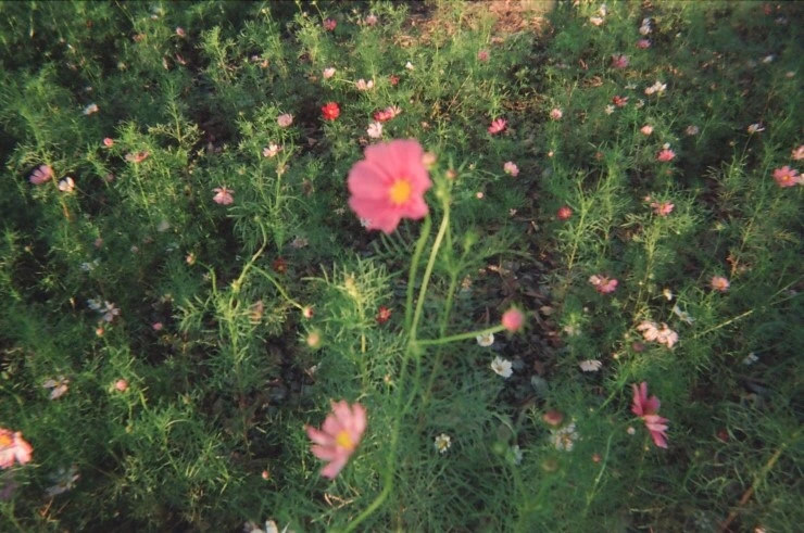 IMG_8499.JPG?type=w1