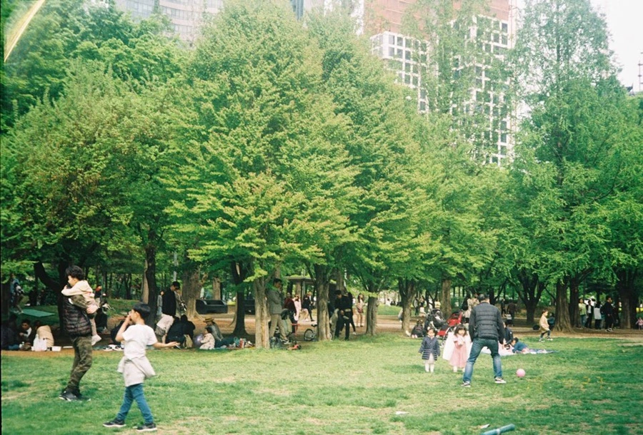 IMG_8705.JPG?type=w1