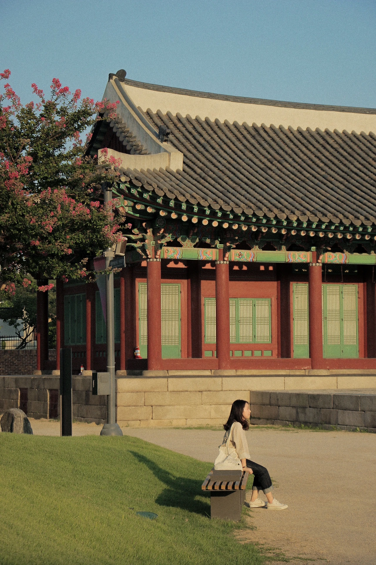 IMG_7188 (5p후보1).JPG