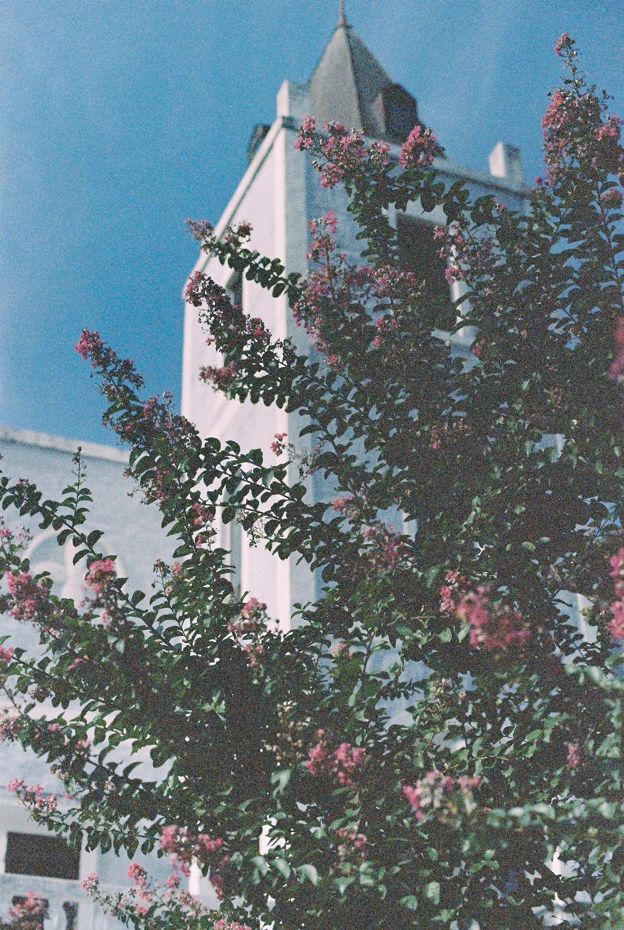 KakaoTalk_Photo_2023-08-23-00-11-30 002.jpeg