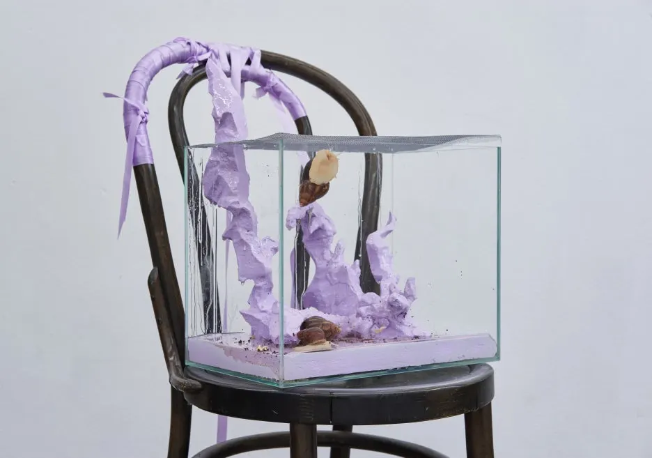 KakaoTalk_20241019_222024118_06.jpg?type=w1