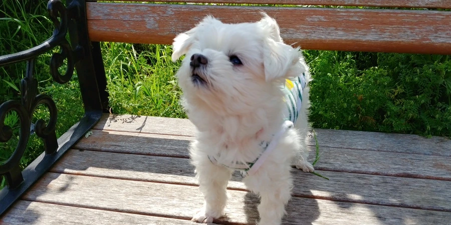 IMG_9695.JPG?type=w1