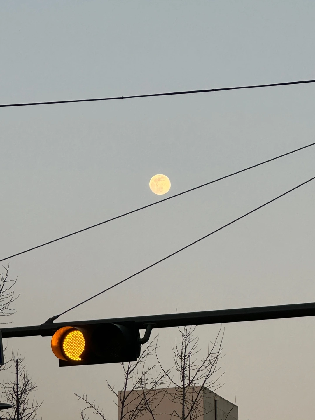 KakaoTalk_Photo_2023-03-01-14-17-24 003.jpeg