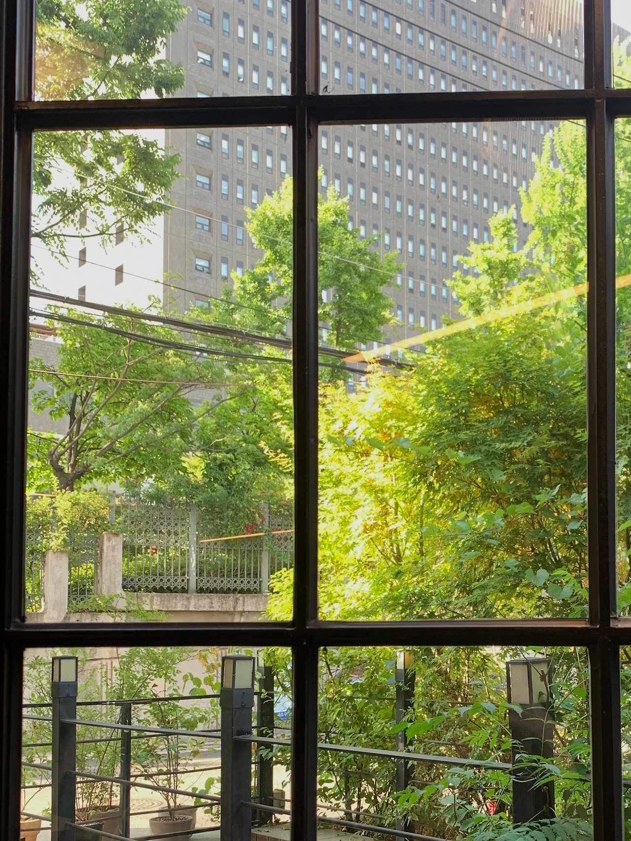 KakaoTalk_Photo_2024-06-13-13-18-24 005.jpeg