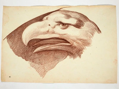 AGO010082-000_PE.jpg?type=w773