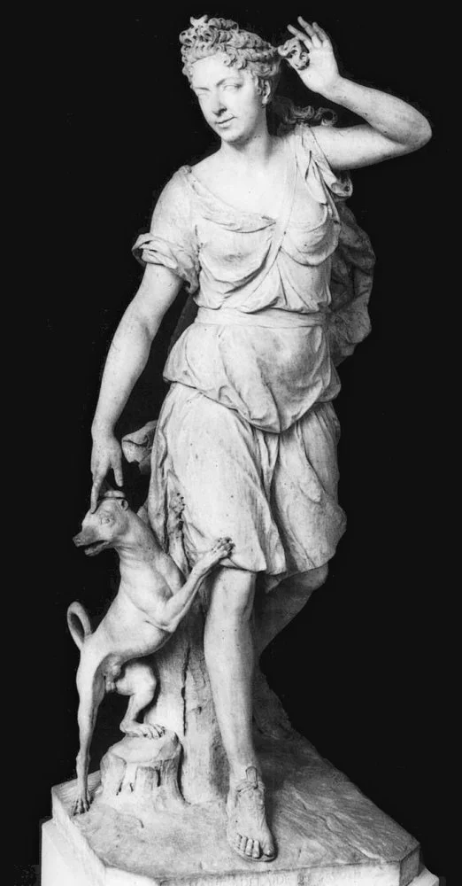 coysevox_diane.jpg?type=w773