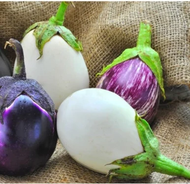 AD_4nXdQK3hqTA-O3IjwmB_Kg1B2VYGORnHpYYsQmmsqOR_O37twS-dsrhX4EV-bKPl81rkJg93IWNdLWC5PTKVP7pjxQntemxC_HnmSOQqE9TmFYOErT6dNRK8CI4SYXYvFMjvX9TLdJw?key=EUvO7-3X2wFZULxoZthx5Q