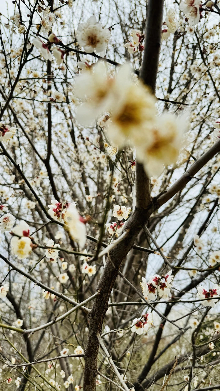 KakaoTalk_Photo_2024-03-27-13-38-26.jpeg?type=w1