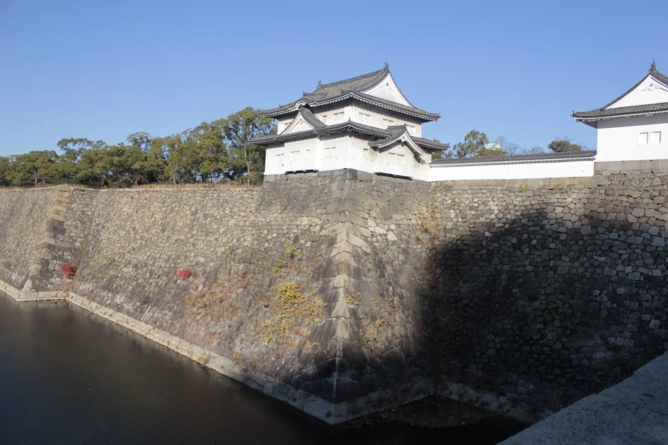 _MG_3649.JPG?type=w966