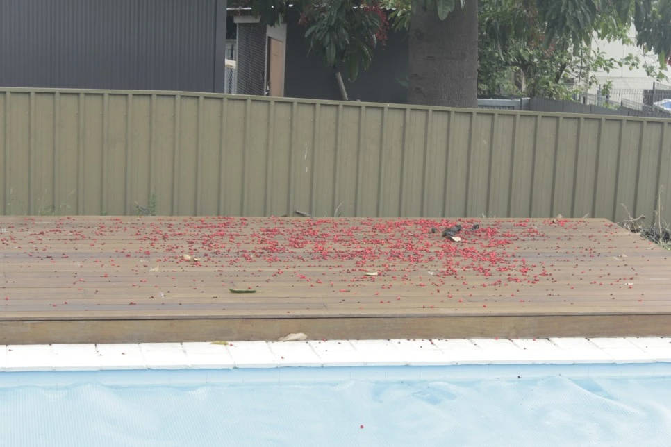 _MG_3325.JPG?type=w966