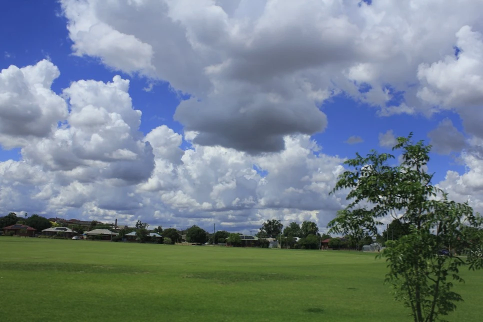 _MG_3307.JPG?type=w966