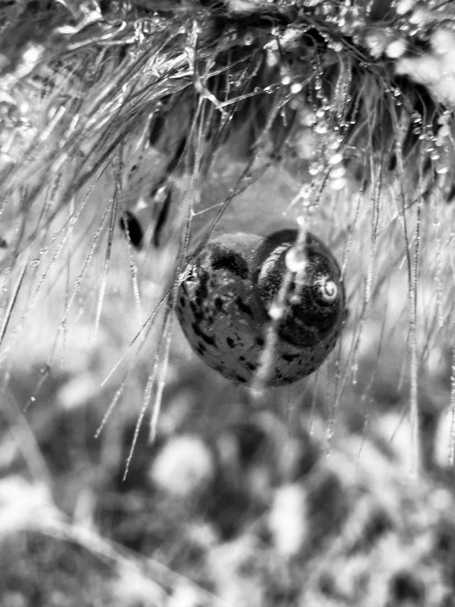 IMG_6764.jpg?type=w1