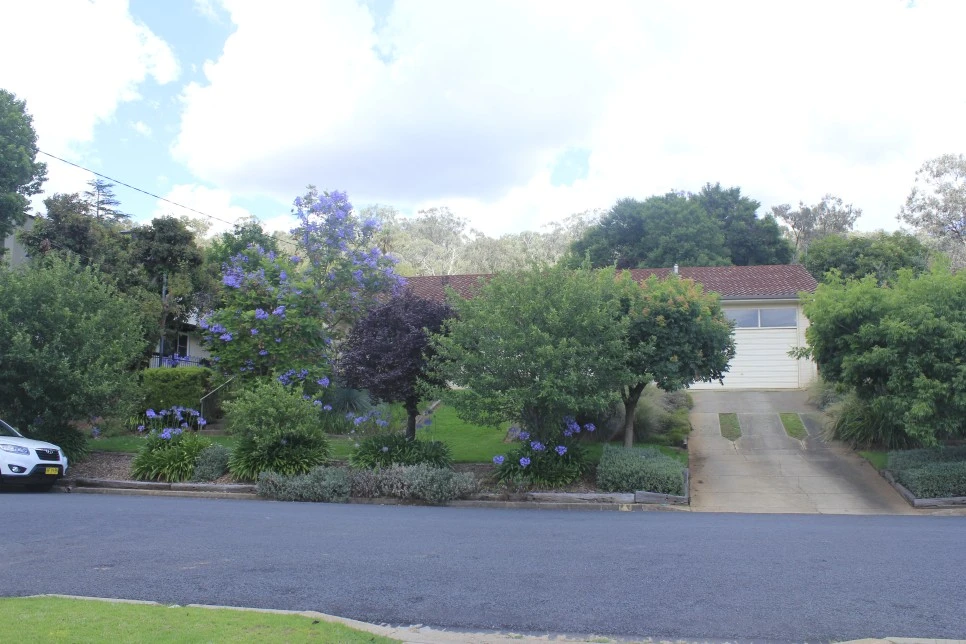 _MG_3309.JPG?type=w966