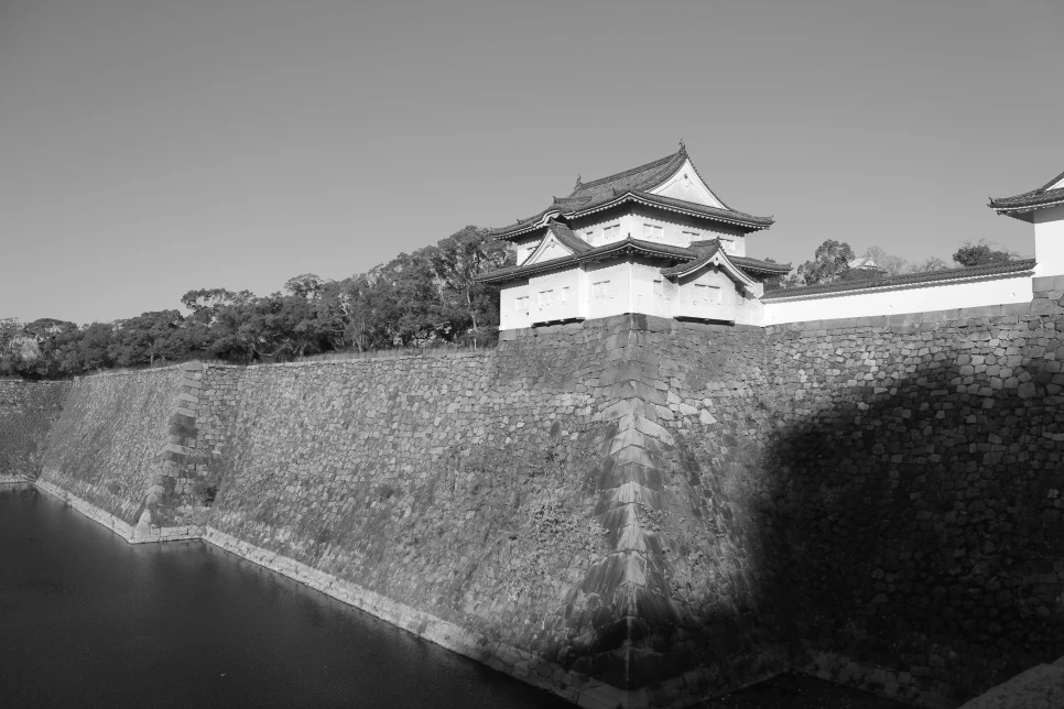 _MG_3648.JPG?type=w966