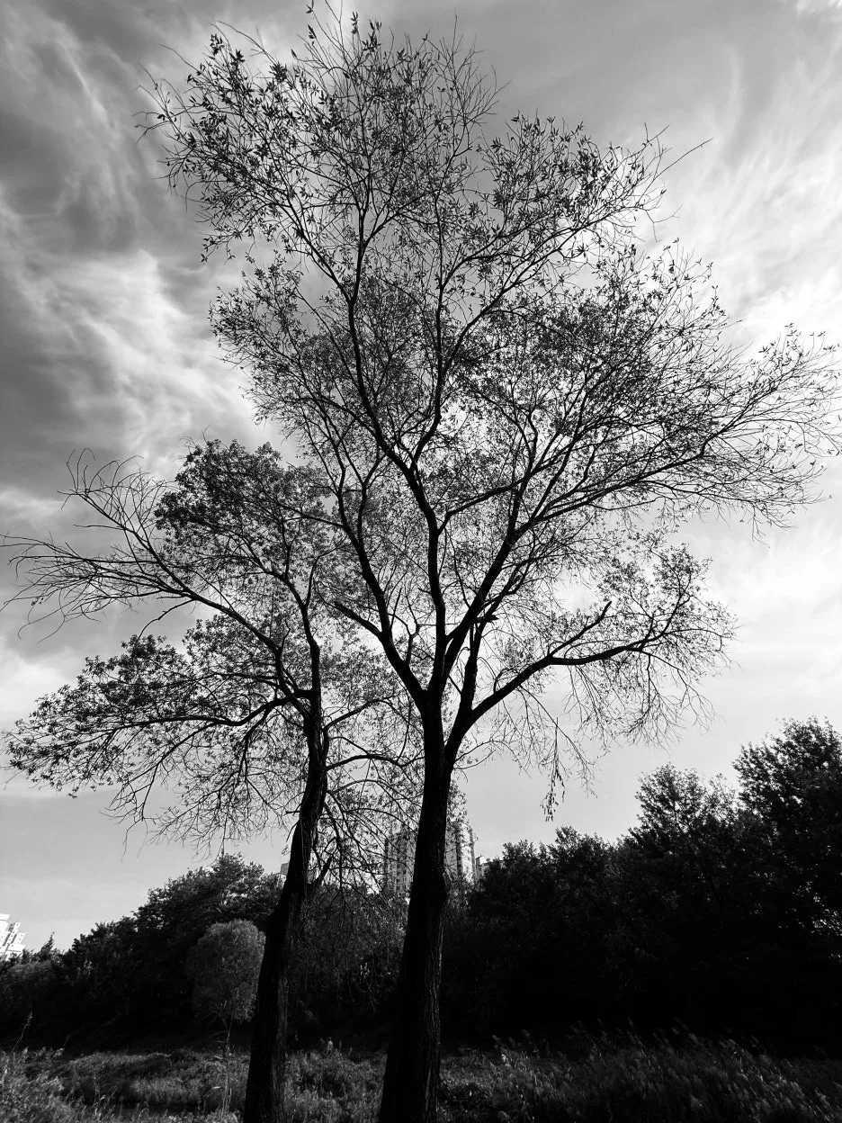 IMG_4690.jpg?type=w1