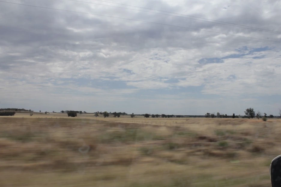 _MG_3497.JPG?type=w1