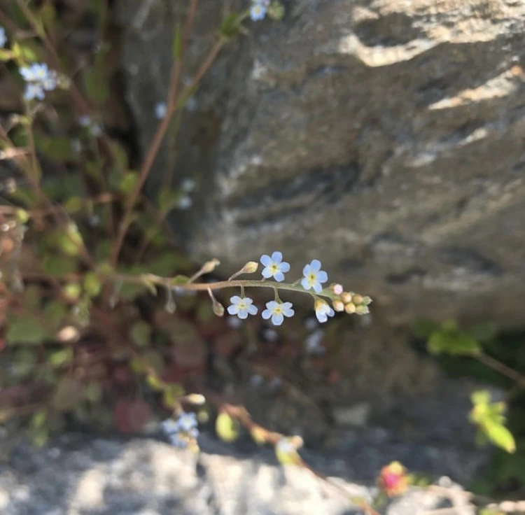 IMG_0721.jpg?type=w1