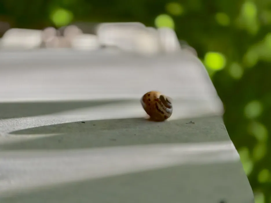 IMG_6213.jpg?type=w1