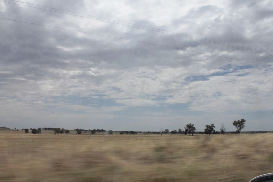 _MG_3498.JPG?type=w1