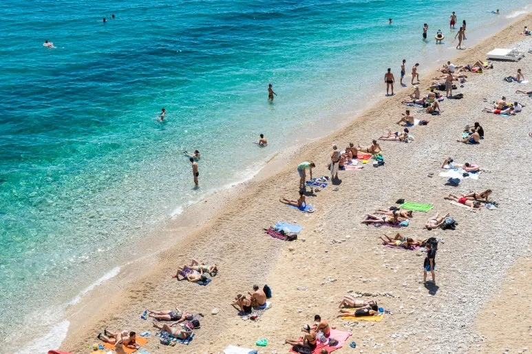 kky-0596.jpg?type=w773