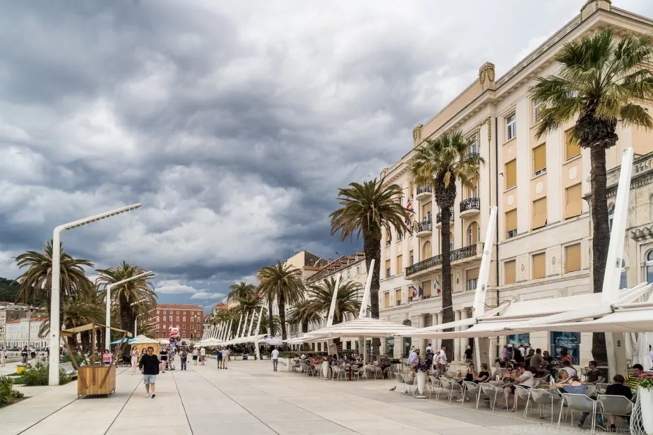 kky-0124.jpg?type=w1